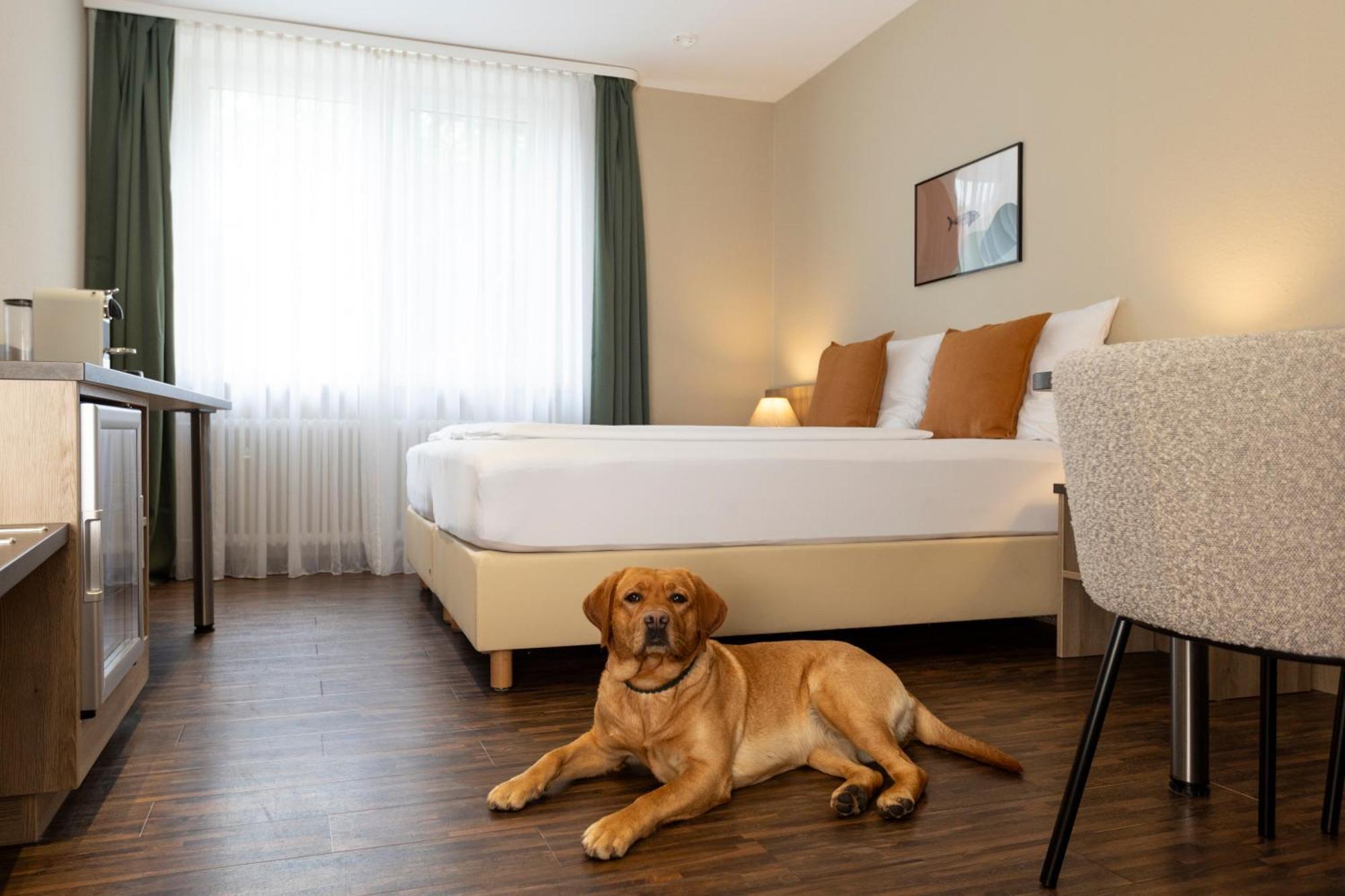 Hotel Fischzucht In Wuerzburg Ngoại thất bức ảnh